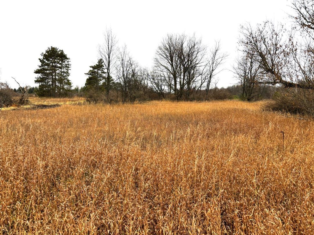 Unit 6 North Street Colfax Township MI 49683