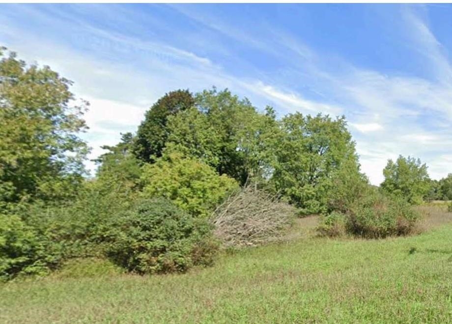 Unit 6 North Street Colfax Township MI 49683