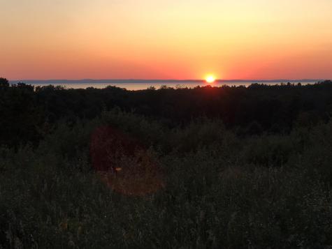 TBD Farrell Road Torch Lake Township MI 49622