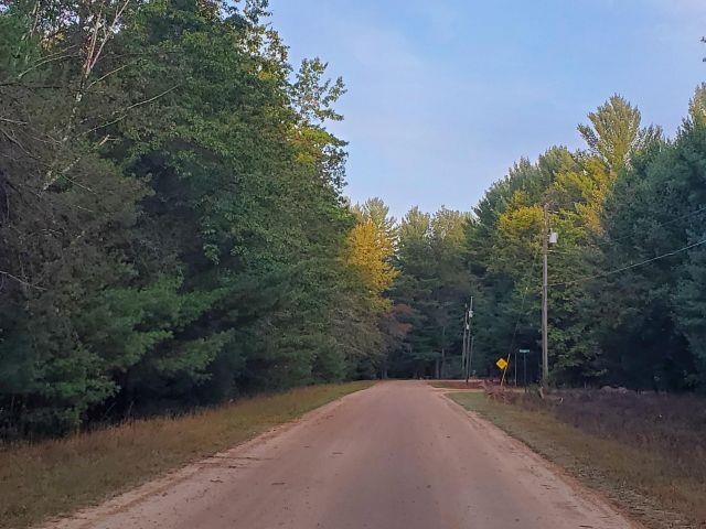 0 Buffalo Trail Moffatt Township MI 48610