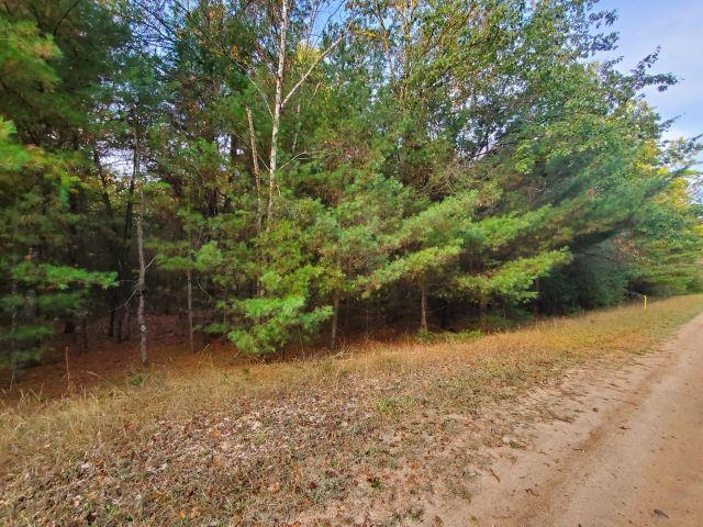 0 Buffalo Trail Moffatt Township MI 48610