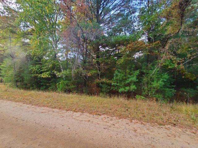 0 Buffalo Trail Moffatt Township MI 48610