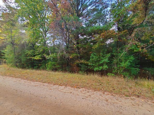 0 Buffalo Trail Moffatt Township MI 48610