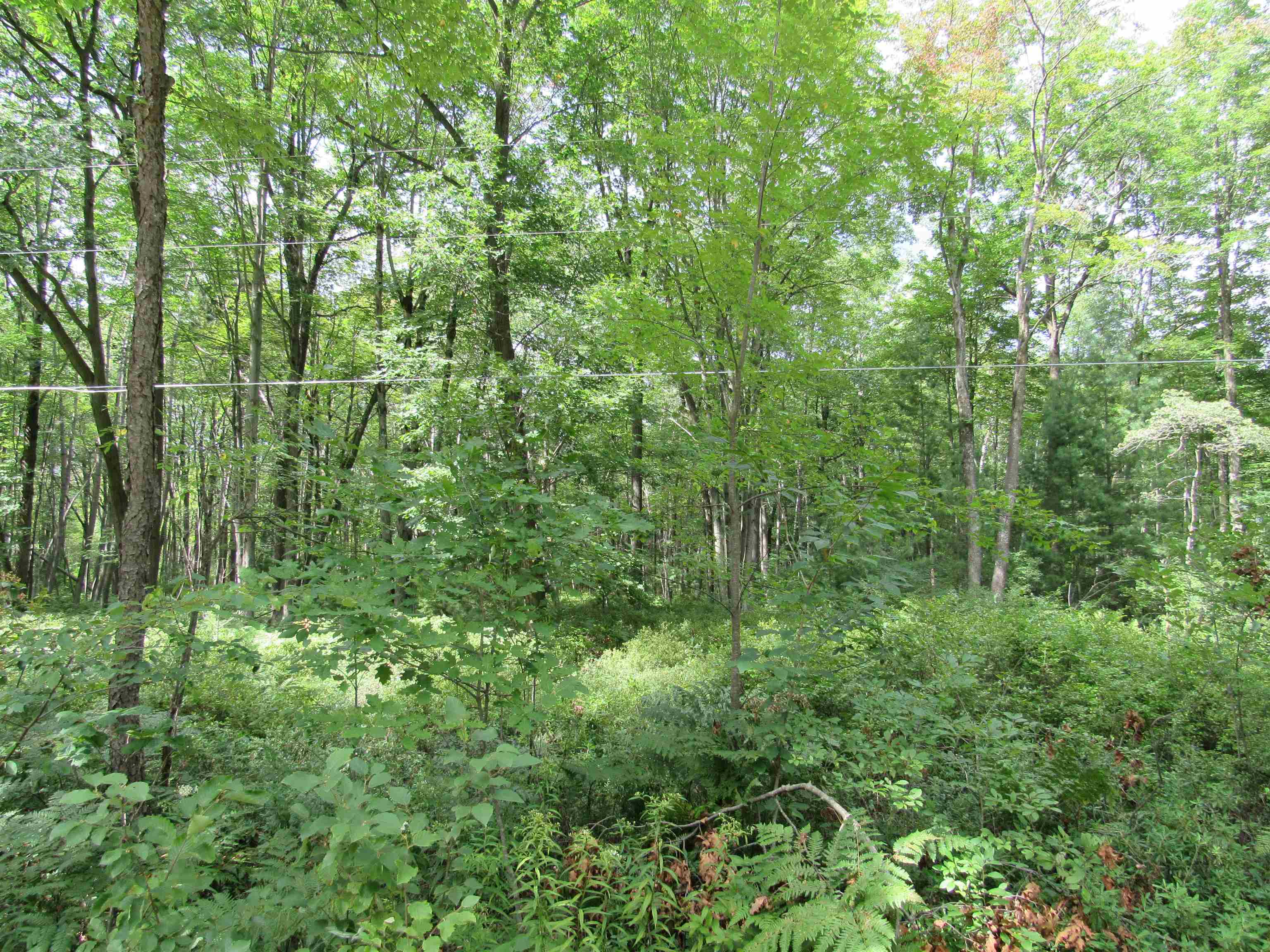 00 Duby Road Alabaster Township MI 48763