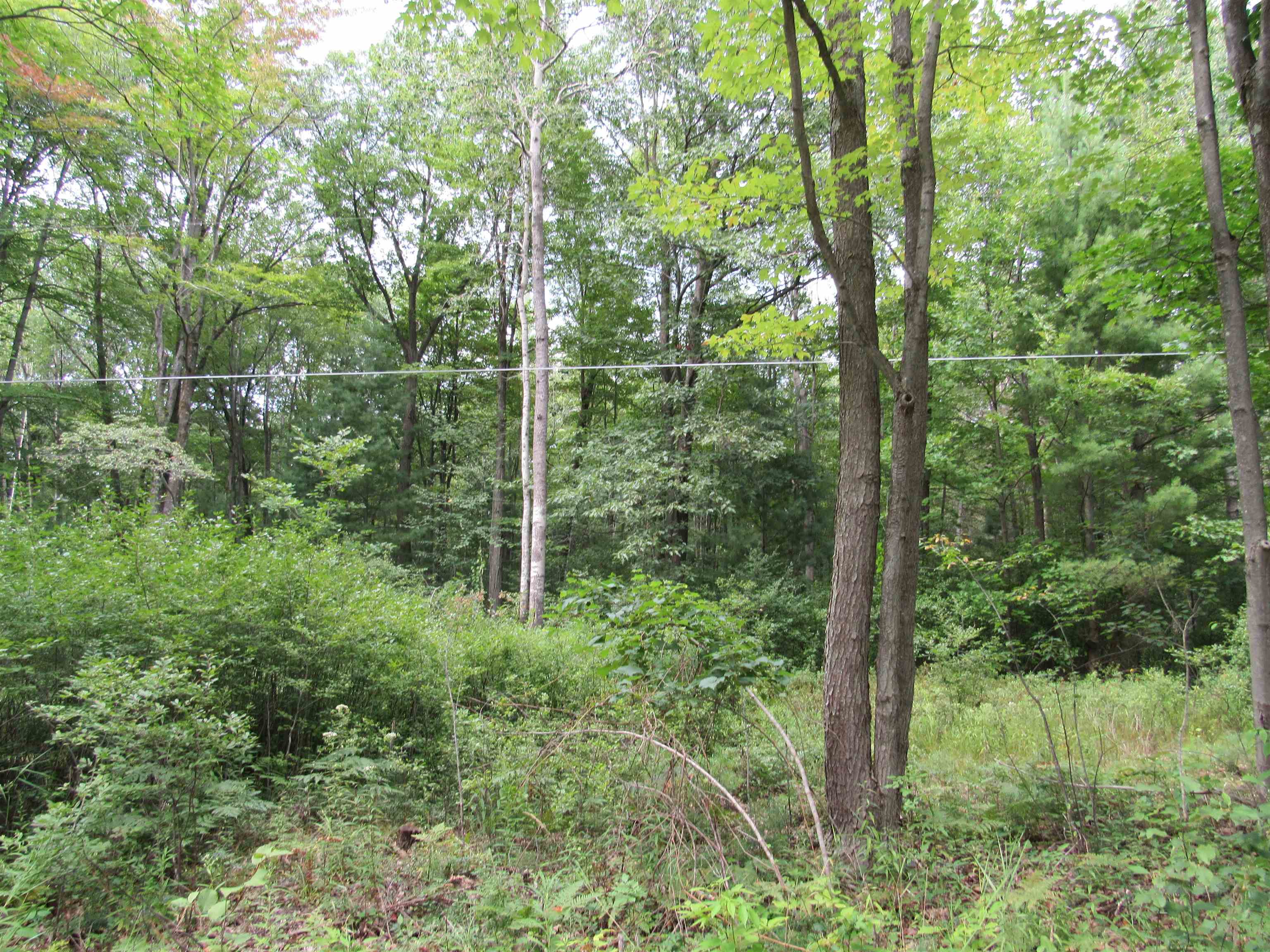 00 Duby Road Alabaster Township MI 48763