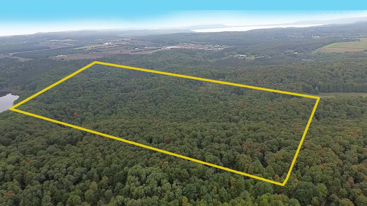 0 S Fritz Road Kasson Township MI 49630