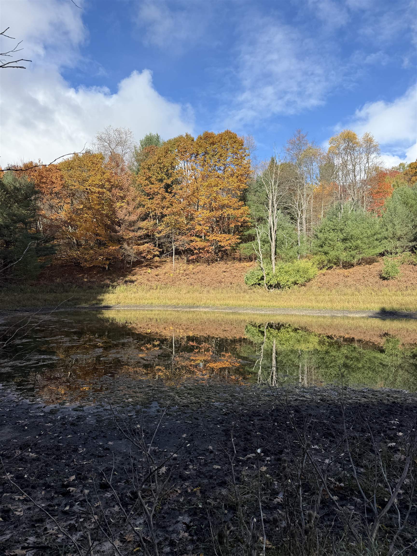 0 S Fritz Road Kasson Township MI 49630