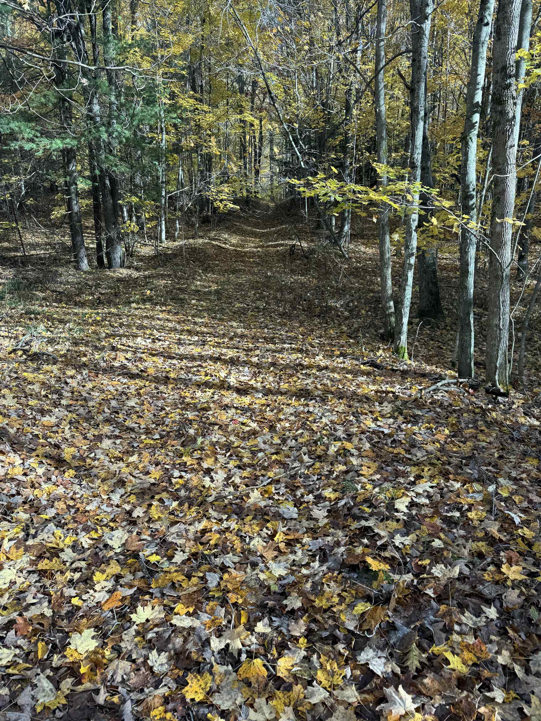 0 S Fritz Road Kasson Township MI 49630