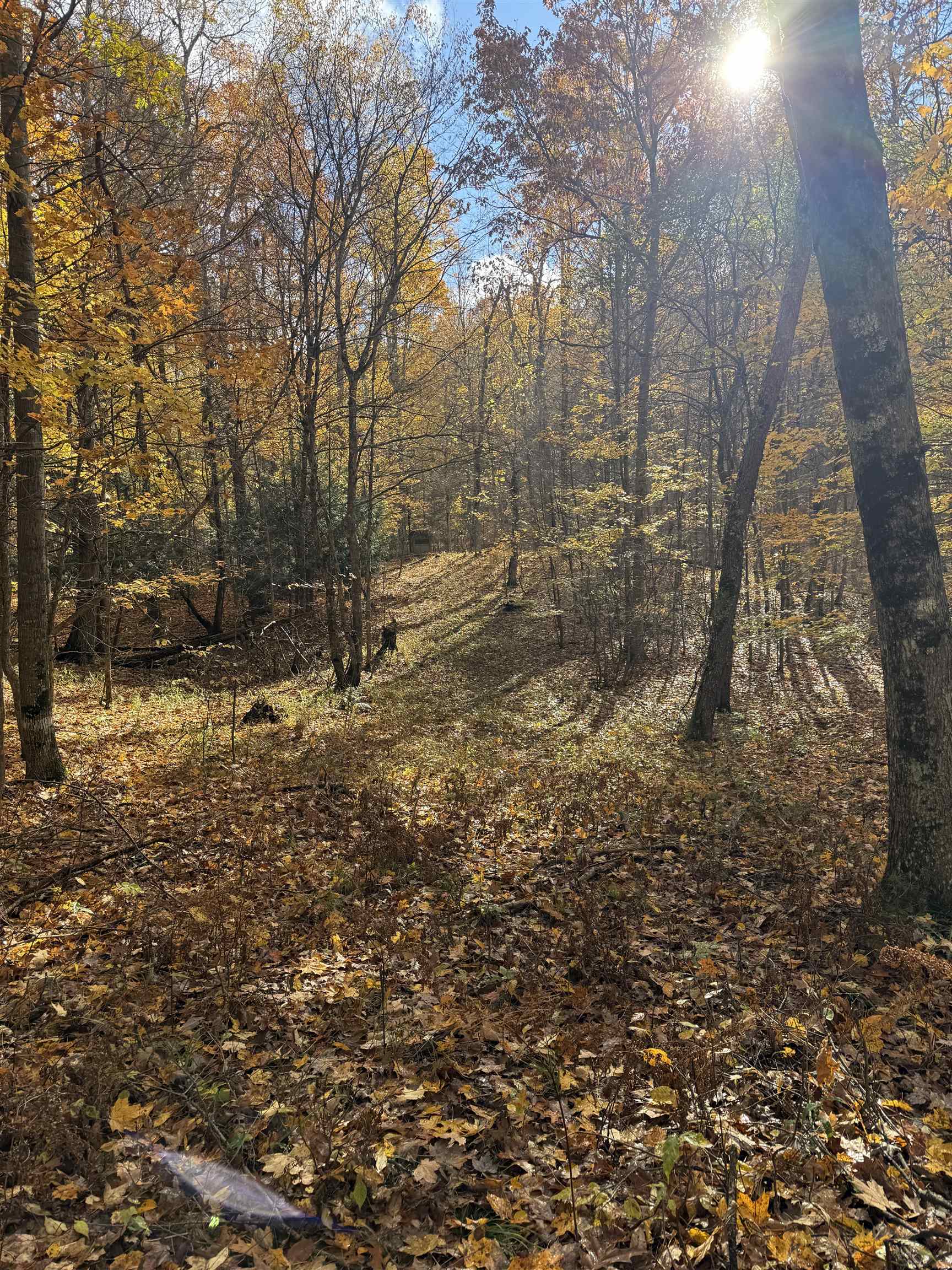 0 S Fritz Road Kasson Township MI 49630
