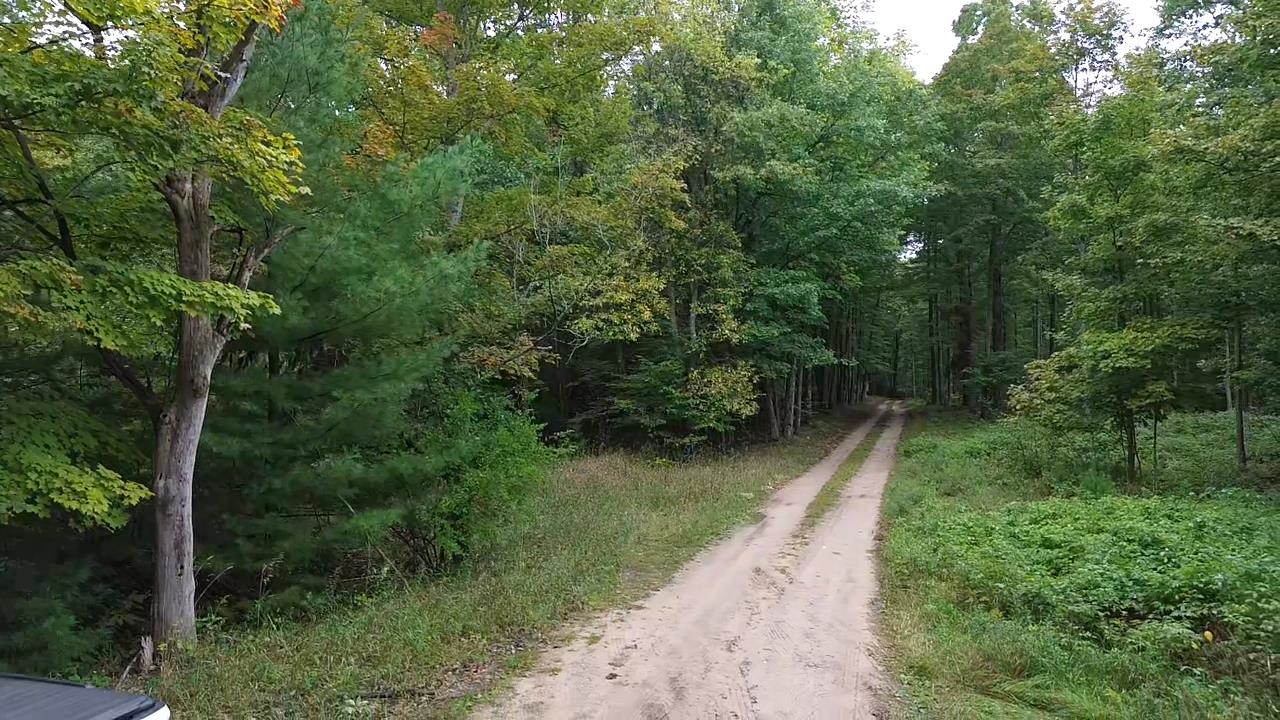 0 S Fritz Road Kasson Township MI 49630