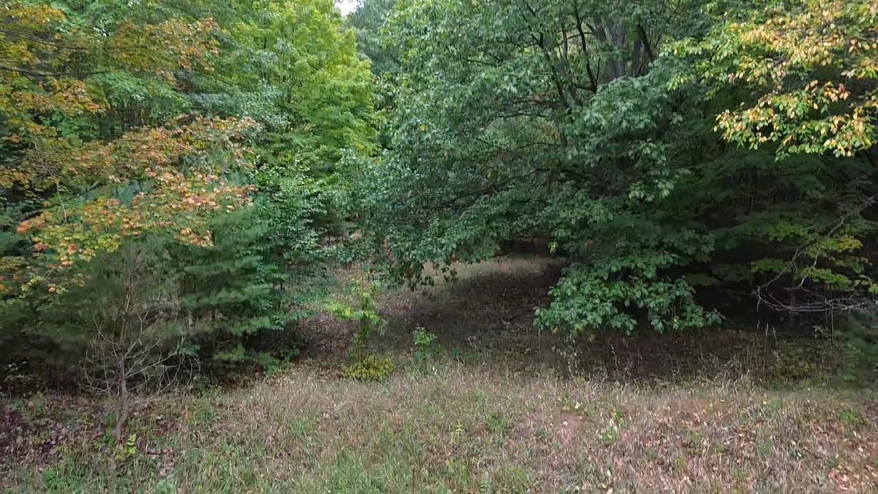 0 S Fritz Road Kasson Township MI 49630