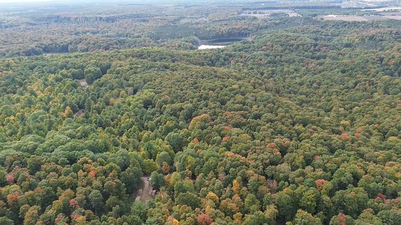 0 S Fritz Road Kasson Township MI 49630