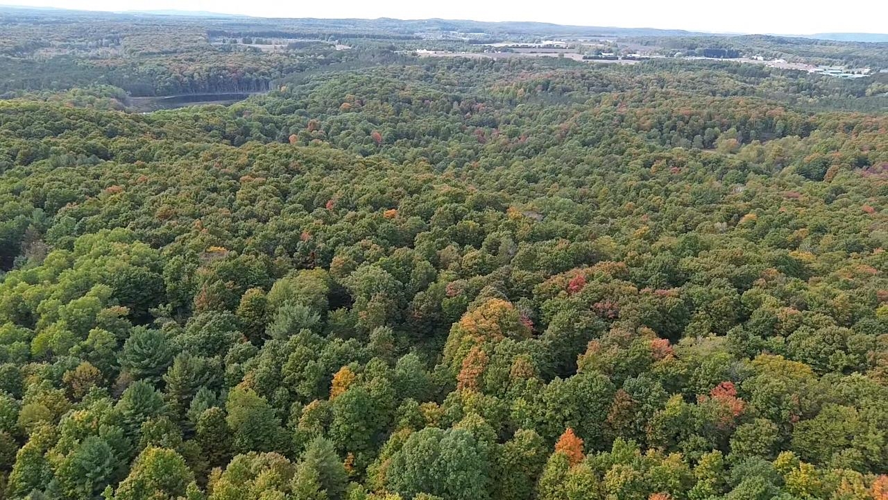 0 S Fritz Road Kasson Township MI 49630
