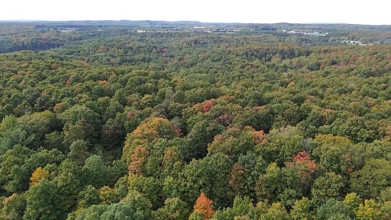 0 S Fritz Road Kasson Township MI 49630
