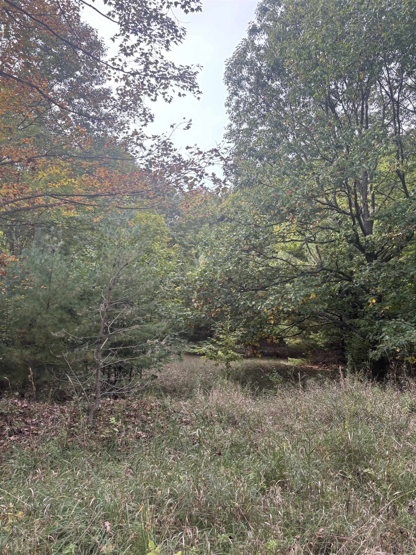 0 S Fritz Road Kasson Township MI 49630