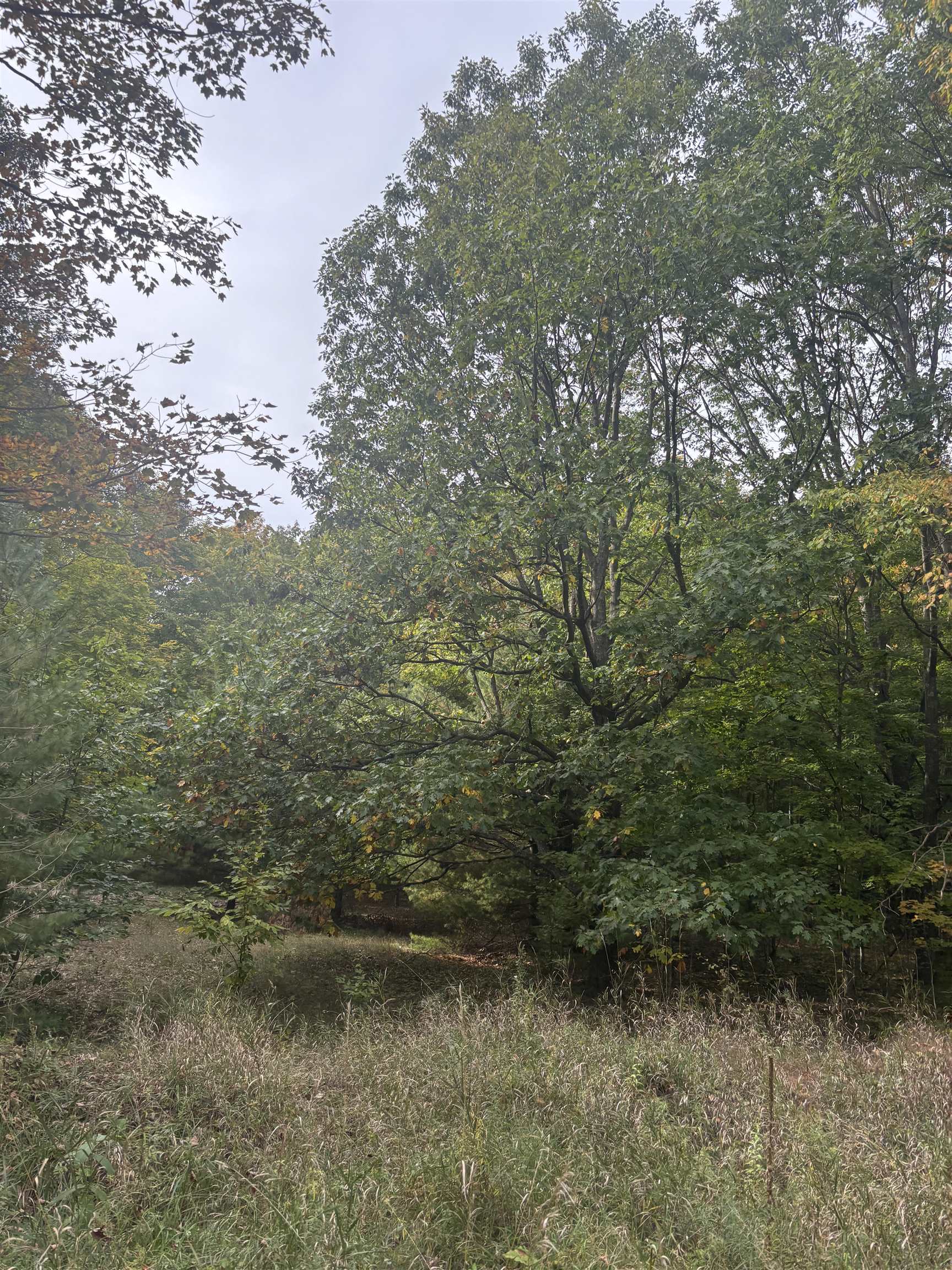 0 S Fritz Road Kasson Township MI 49630