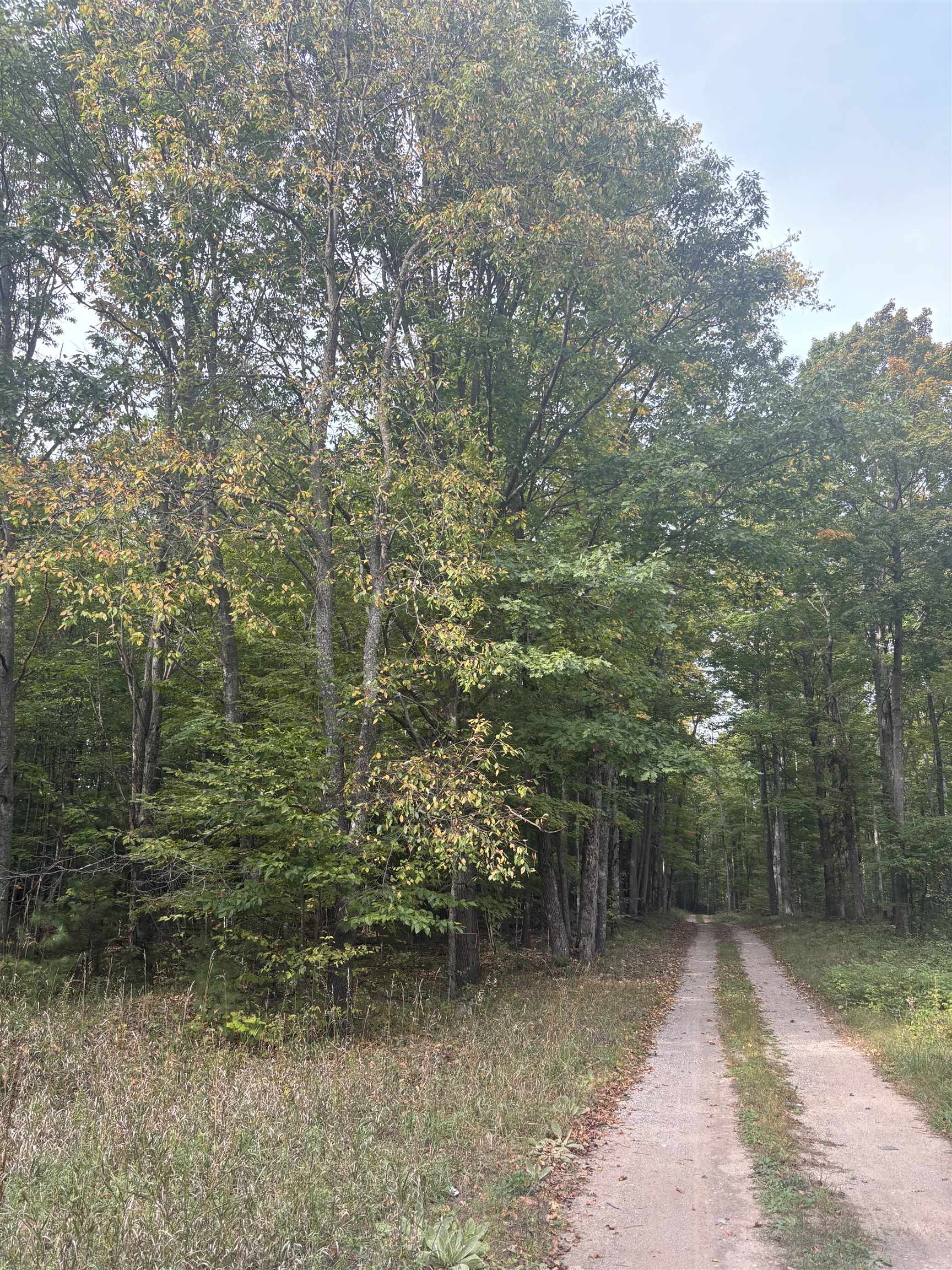 0 S Fritz Road Kasson Township MI 49630