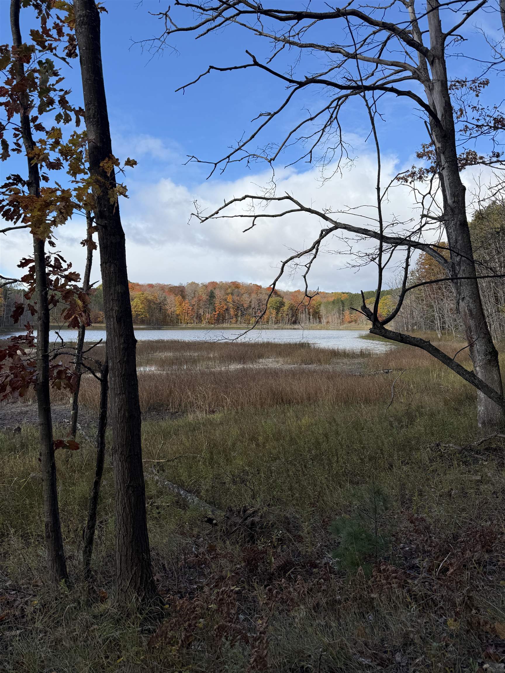0 S Fritz Road Kasson Township MI 49630