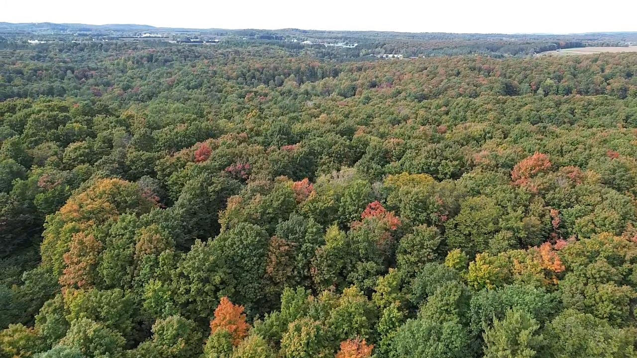 0 S Fritz Road Kasson Township MI 49630