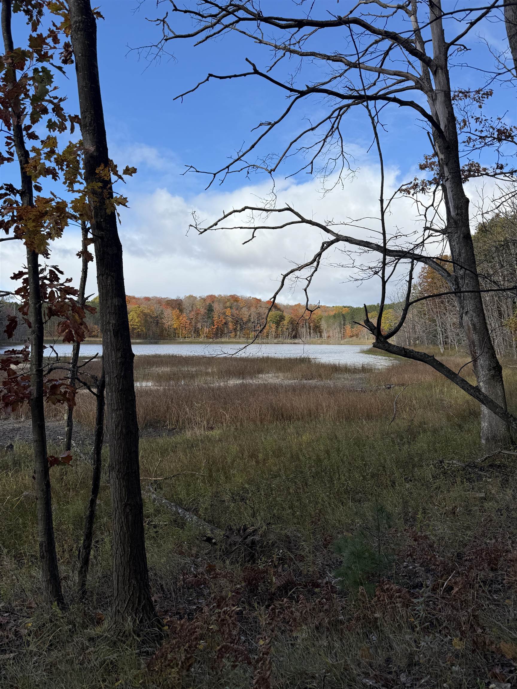 0 S Fritz Road Kasson Township MI 49630
