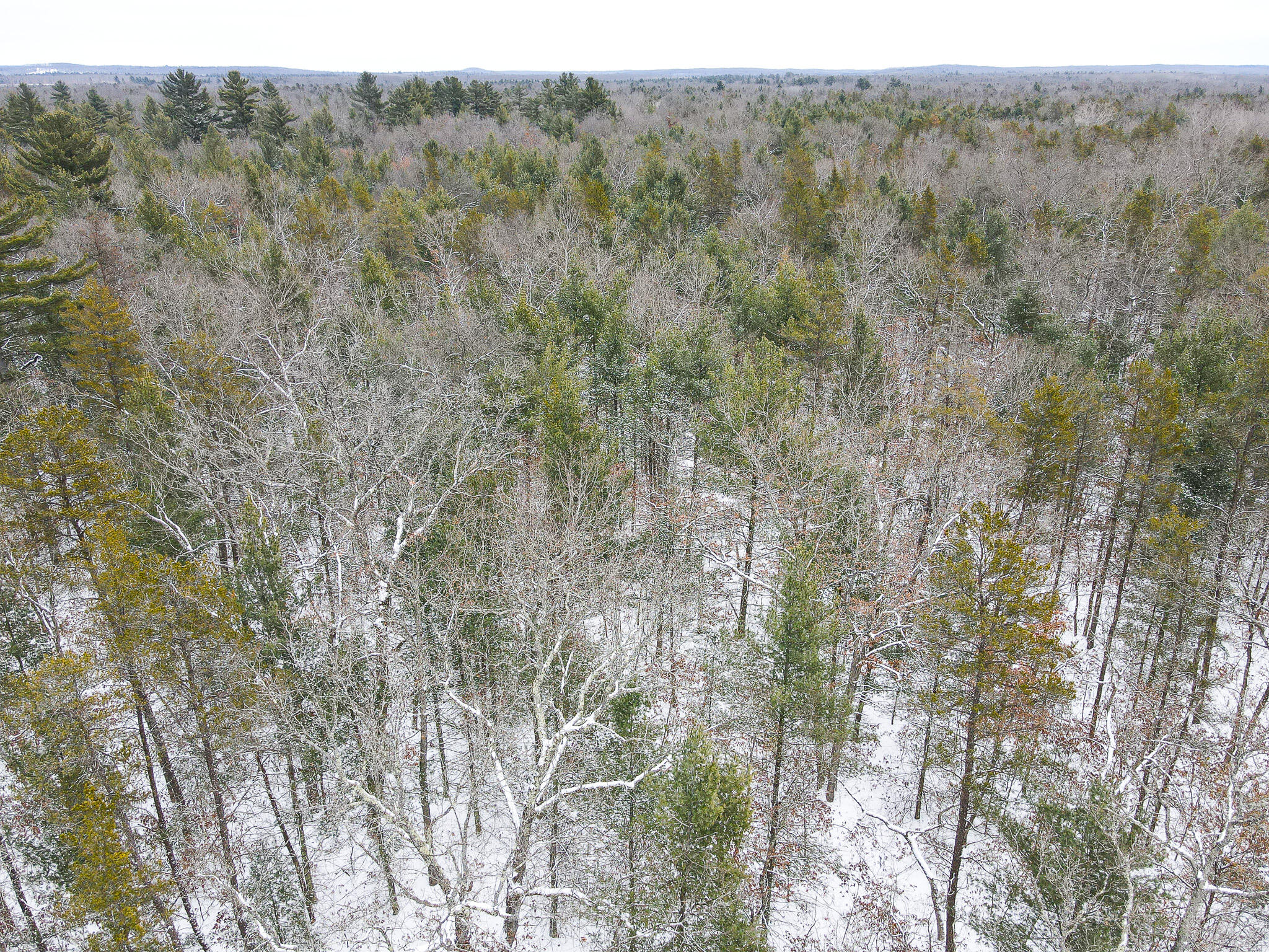 V/l Nelson Road Cherry Valley Township MI 49642