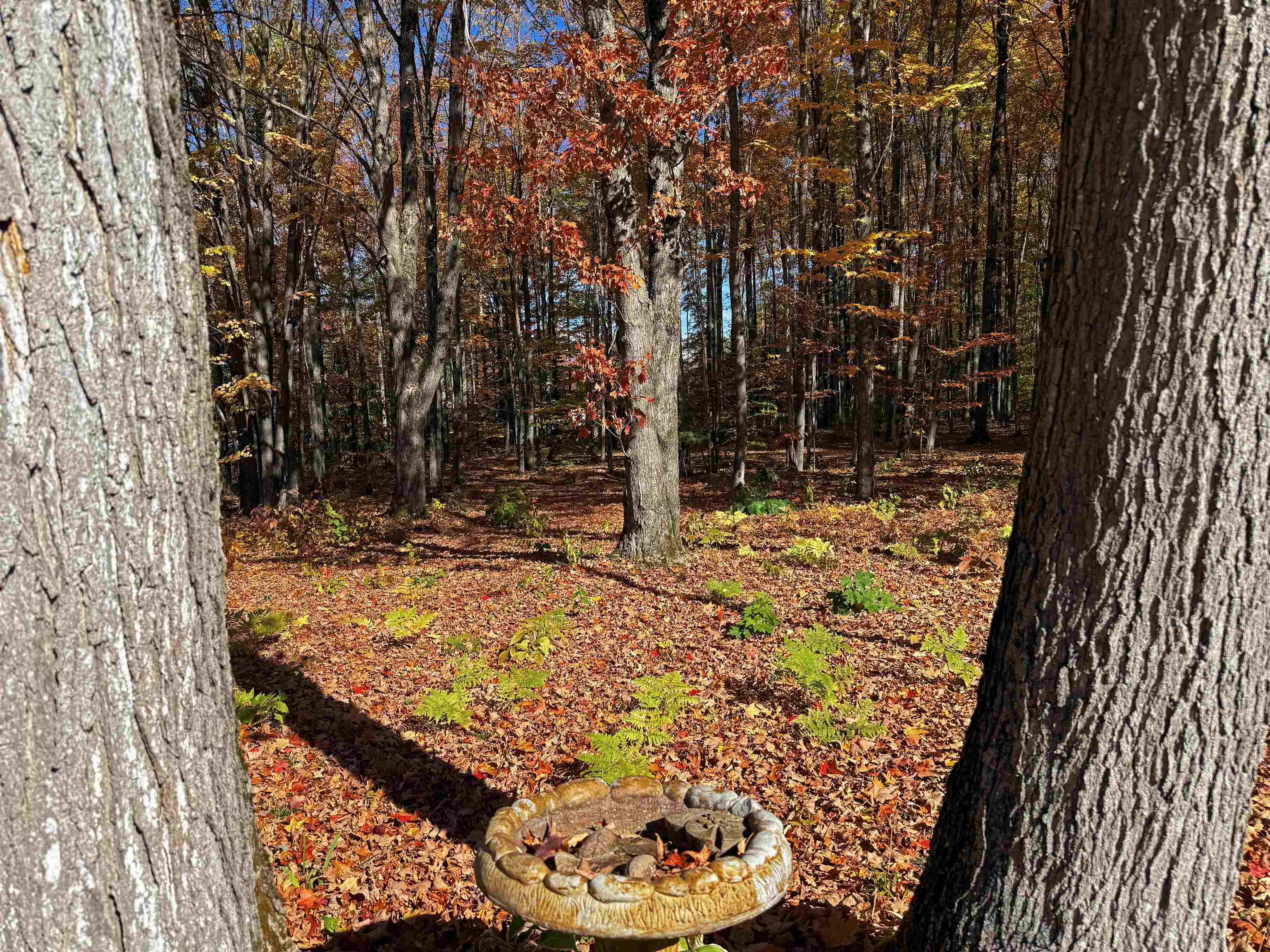 5038 NE East Shore Drive Coldsprings Township MI 49646