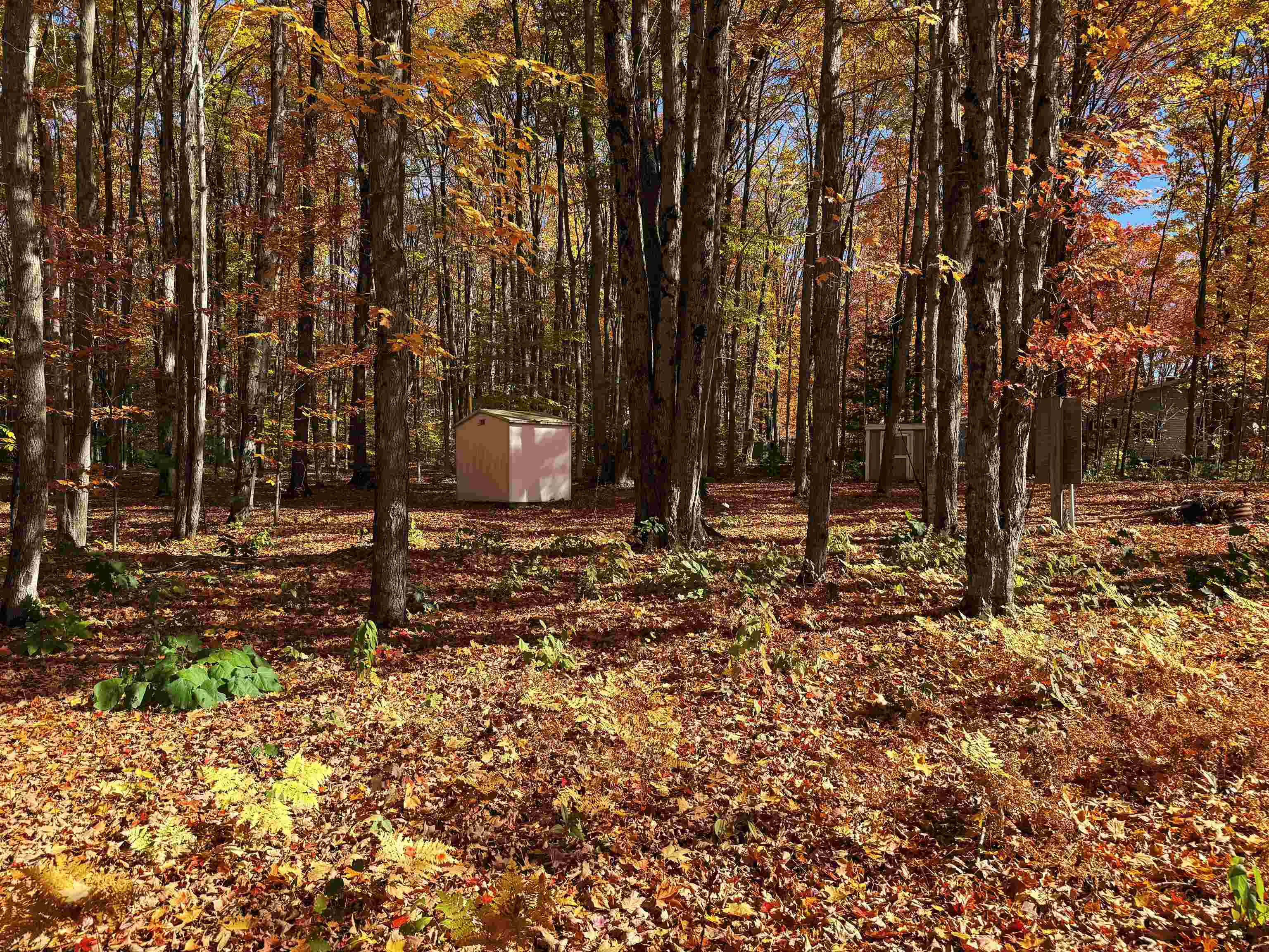 5038 NE East Shore Drive Coldsprings Township MI 49646