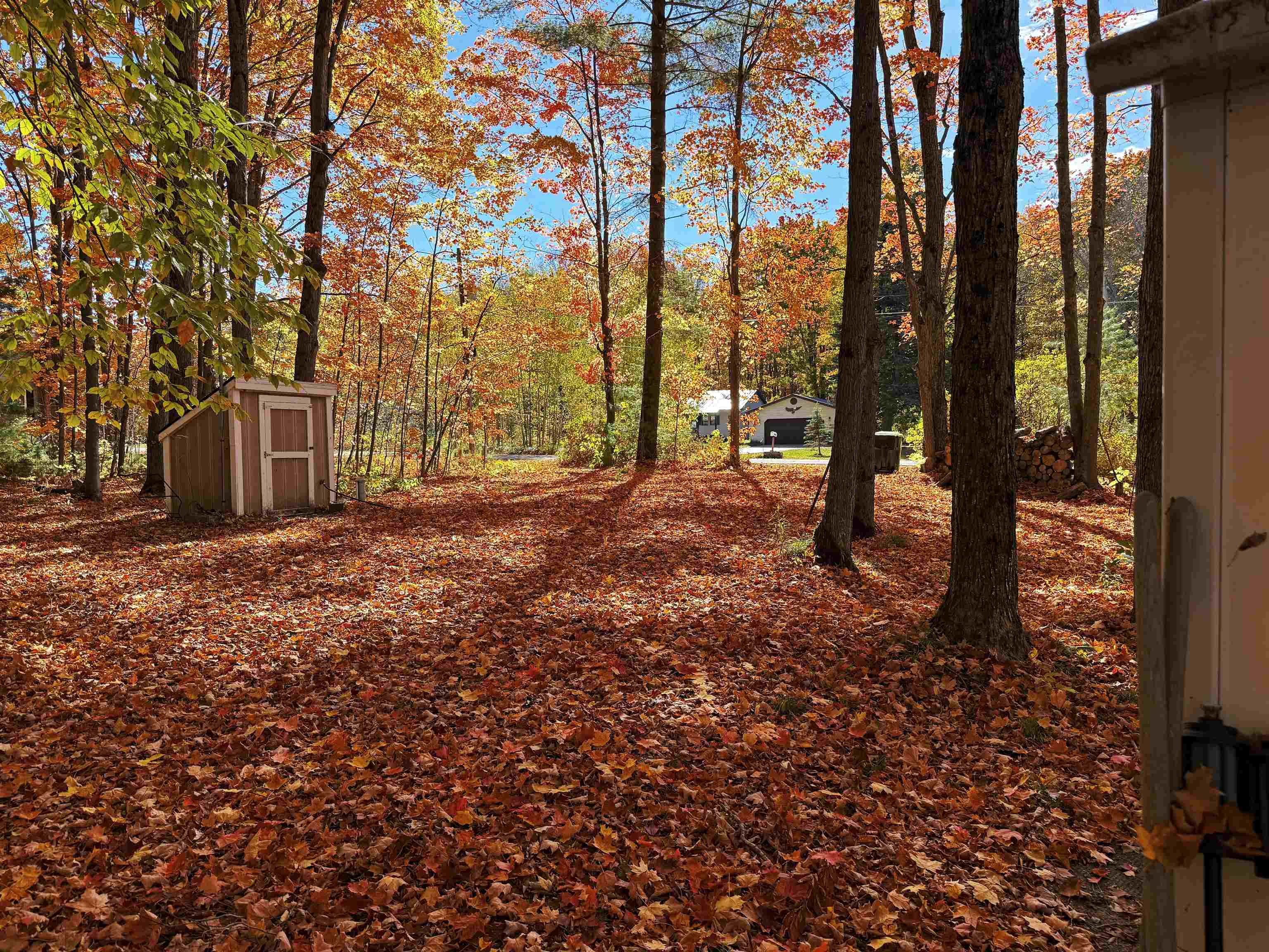 5038 NE East Shore Drive Coldsprings Township MI 49646