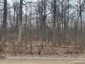 44235 Wear Road Sumpter Township MI 48111