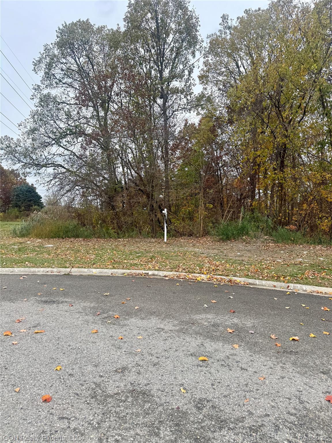 10380 Excalibur Drive Shelby Charter Township MI 48315