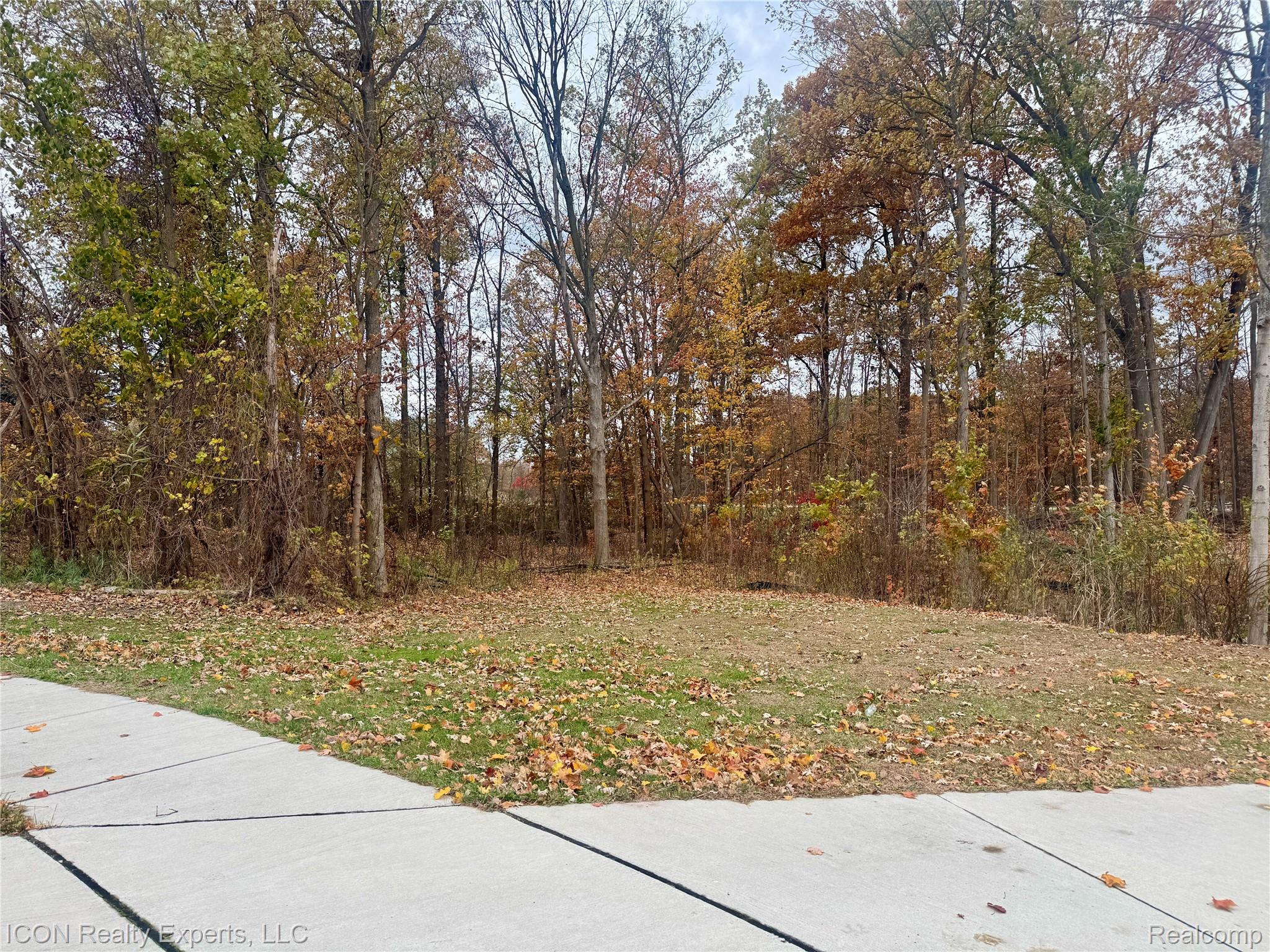 10380 Excalibur Drive Shelby Charter Township MI 48315