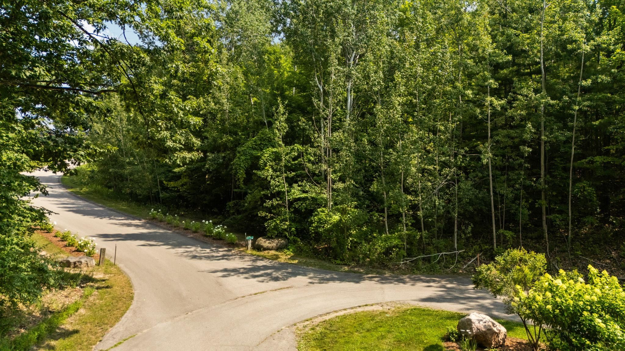 Part Of 1000 Camino Maria Peninsula Township MI 49686