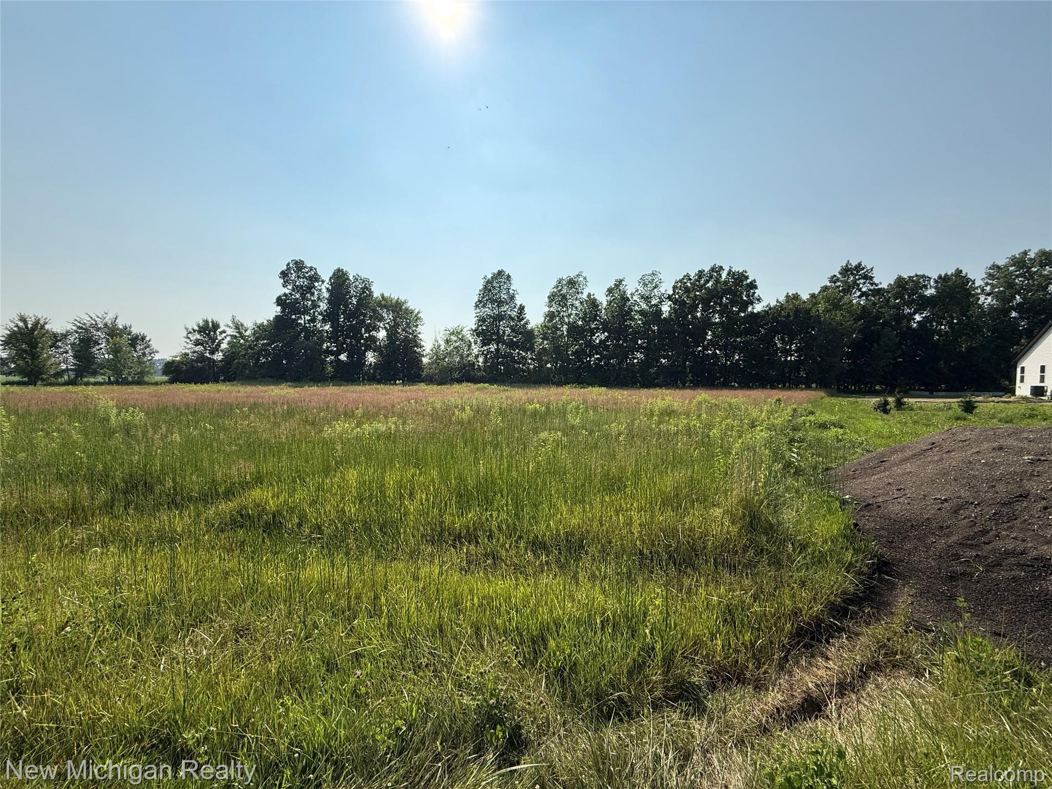 9807 Oak Ridge Road Hazelton Township MI 48460