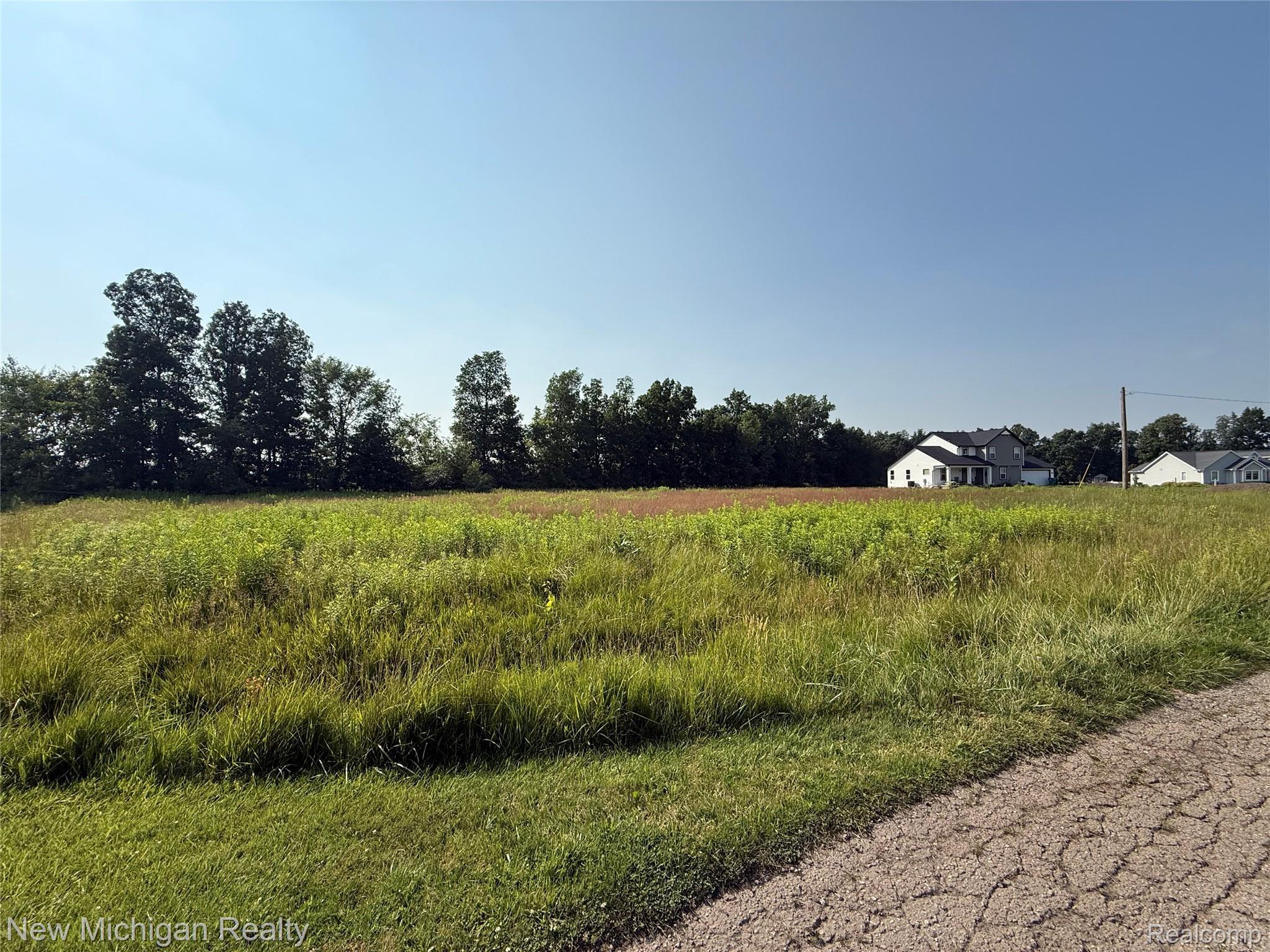 9807 Oak Ridge Road Hazelton Township MI 48460