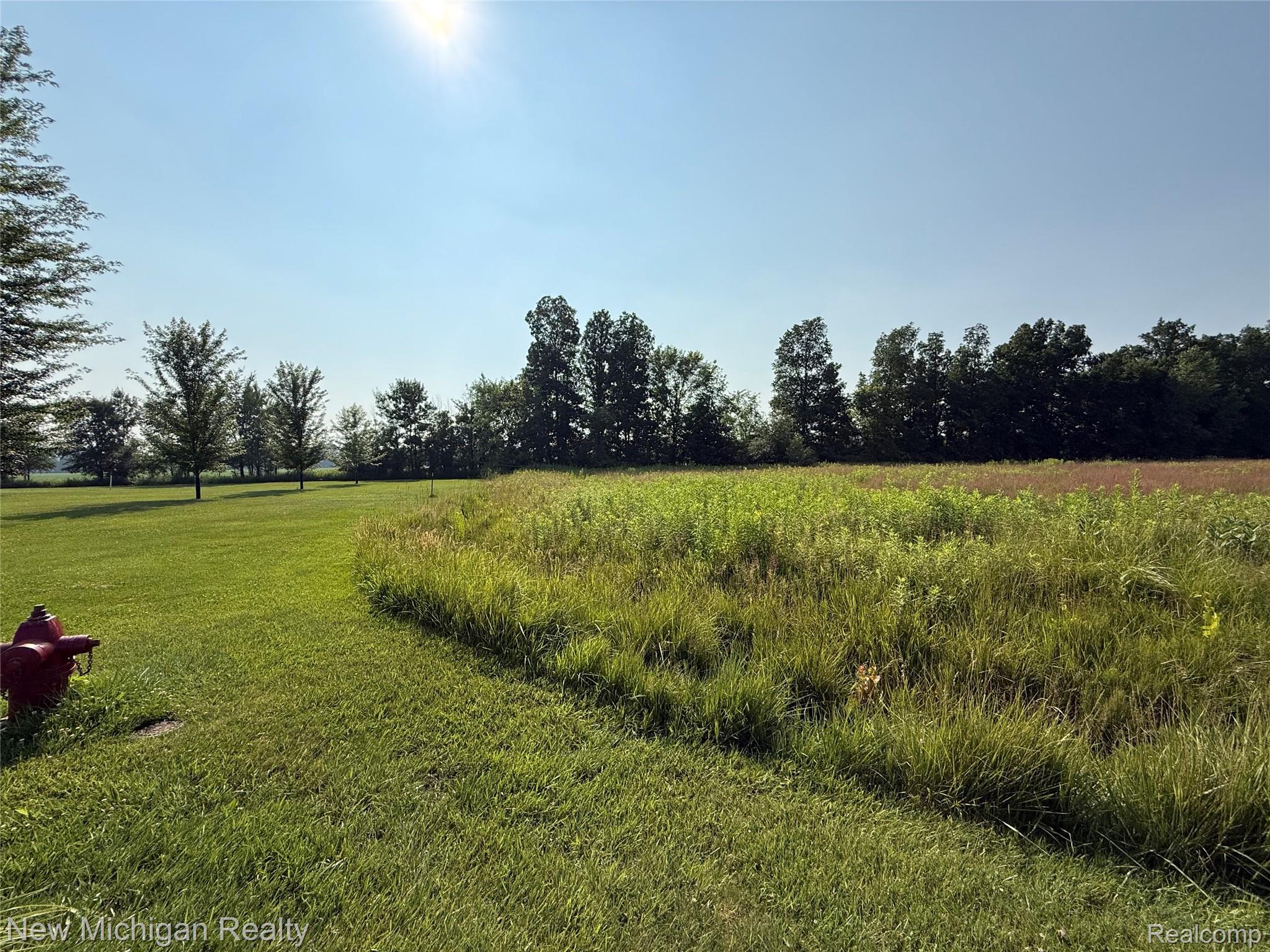 9807 Oak Ridge Road Hazelton Township MI 48460