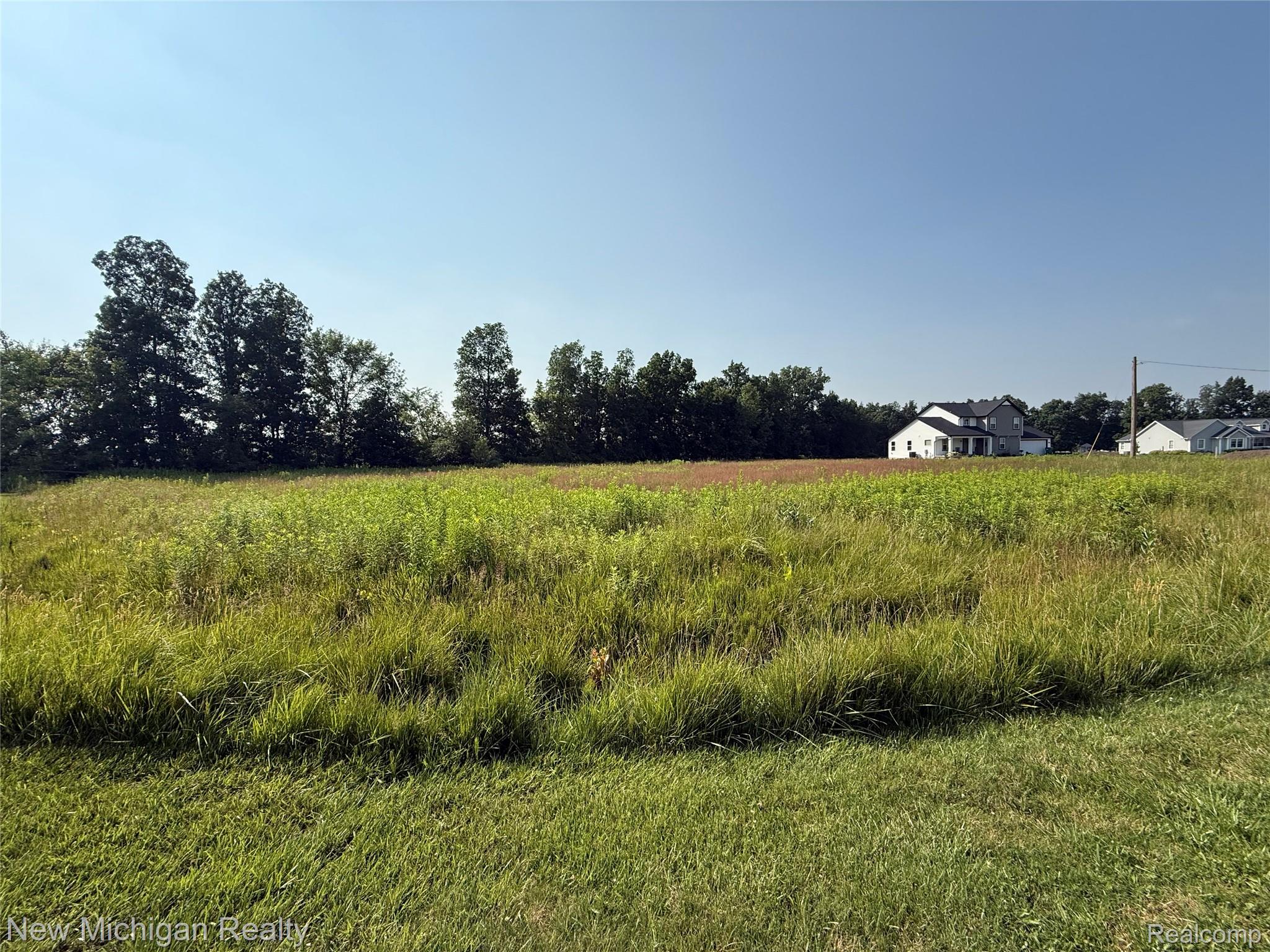 9807 Oak Ridge Road Hazelton Township MI 48460