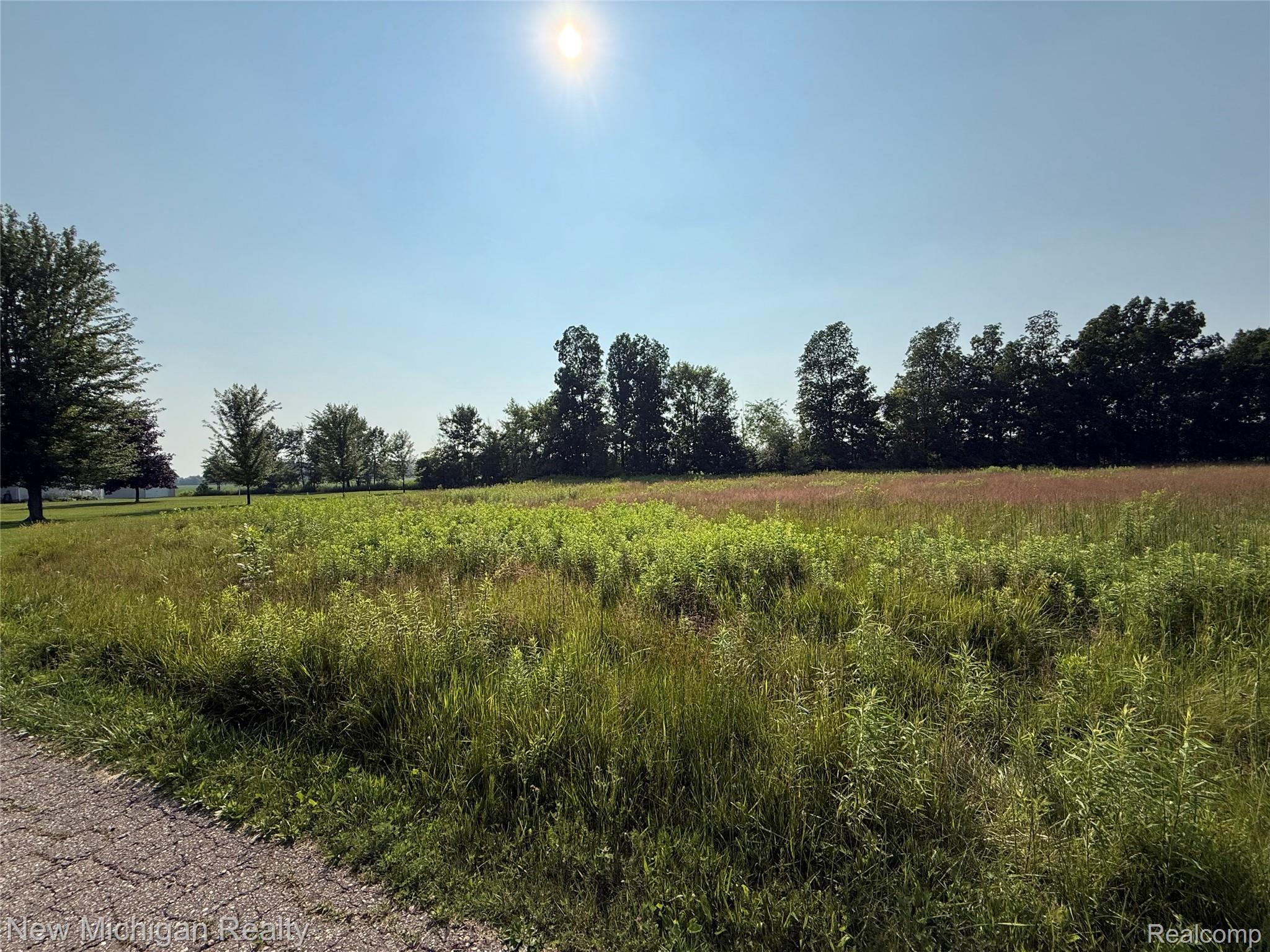 9807 Oak Ridge Road Hazelton Township MI 48460
