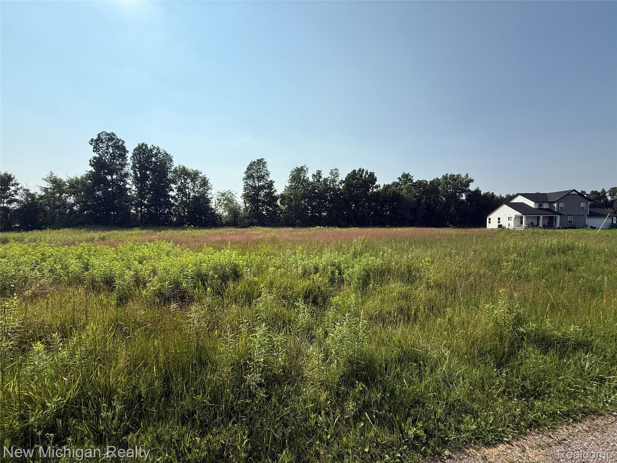 9807 Oak Ridge Road Hazelton Township MI 48460