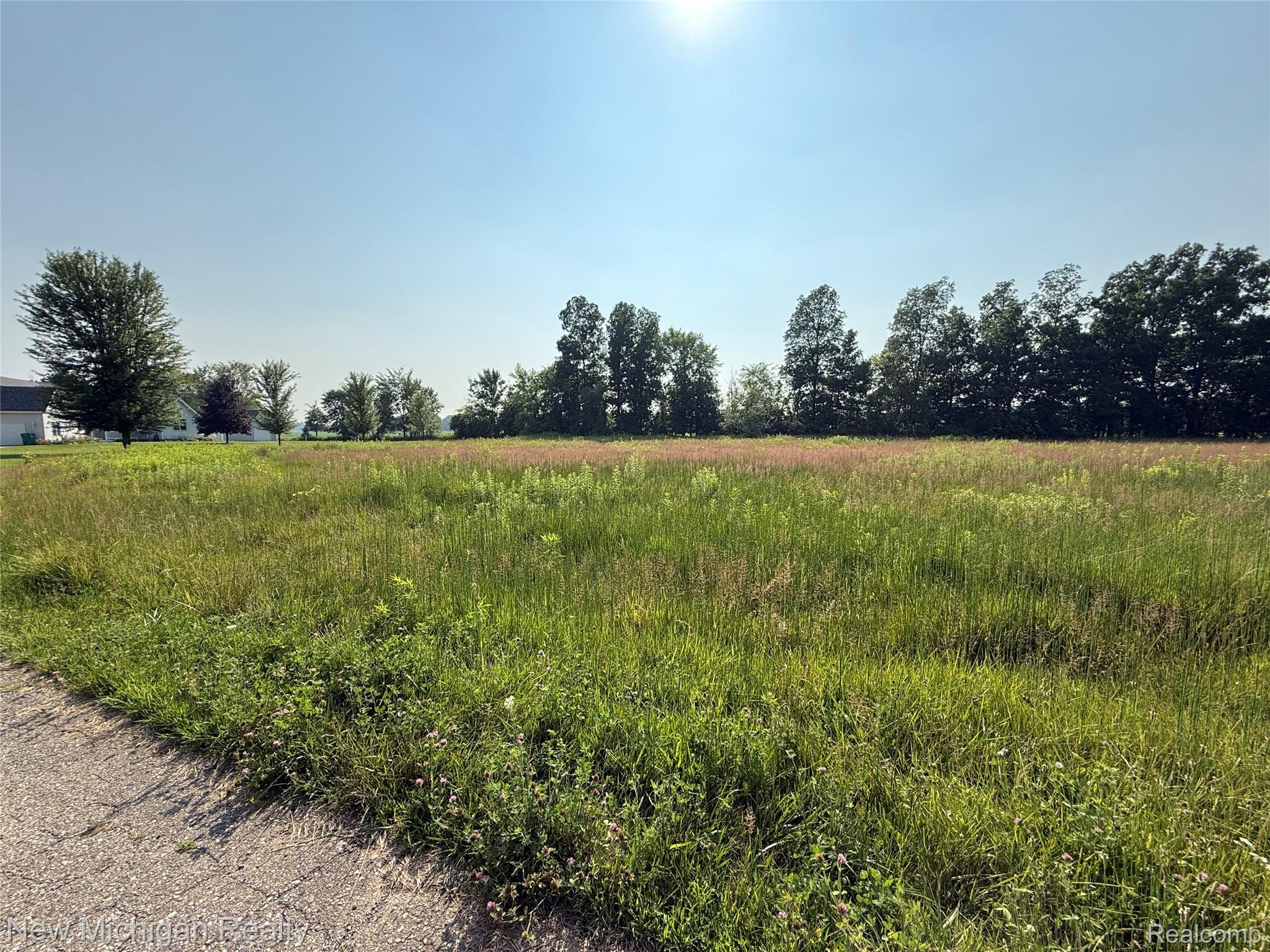 9807 Oak Ridge Road Hazelton Township MI 48460