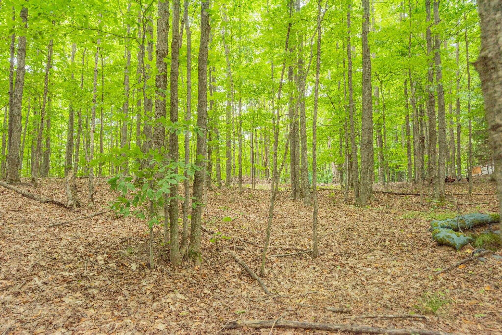 00 Hansel Strause E Custer Township MI 49615