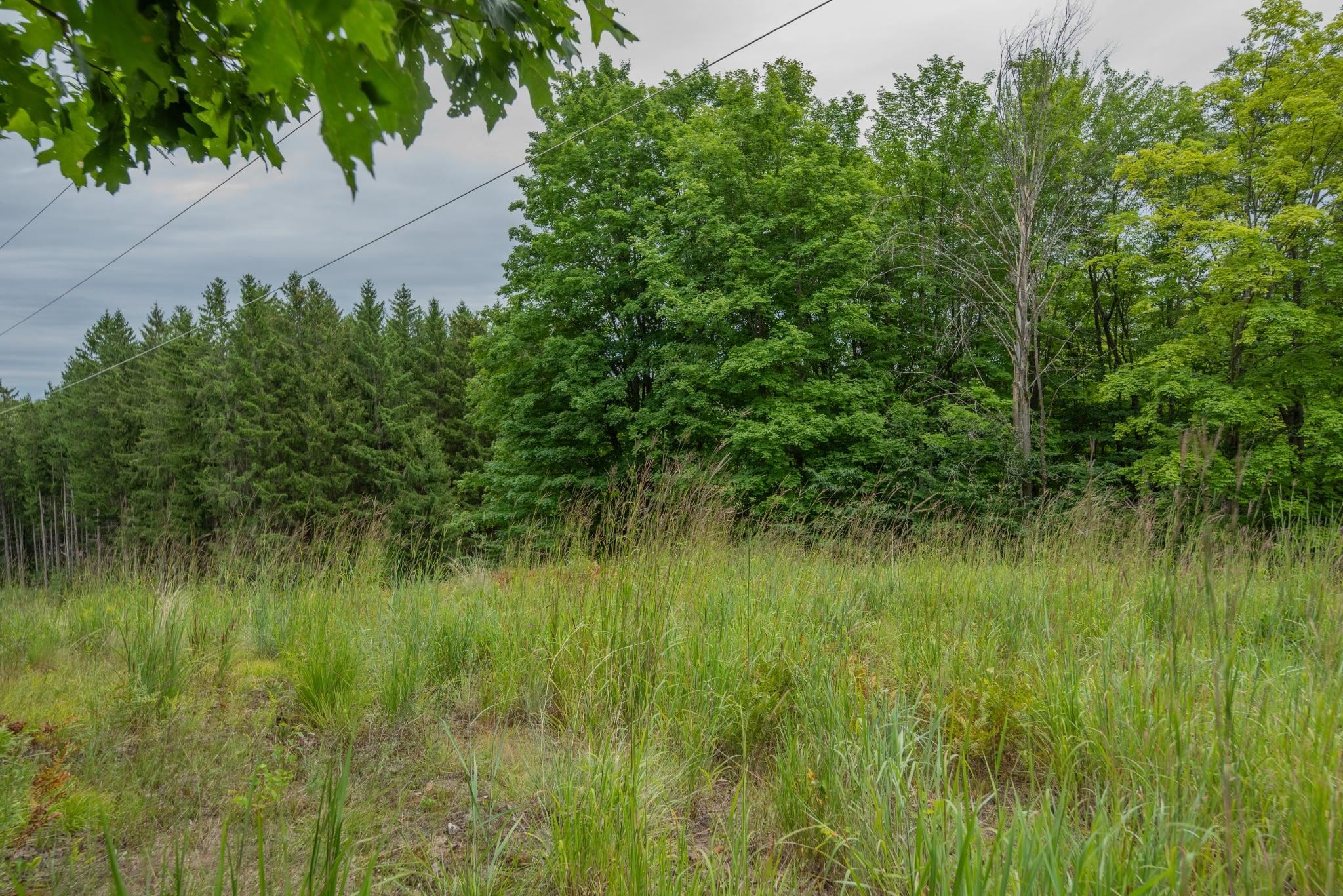 00 Hansel Strause E Custer Township MI 49615