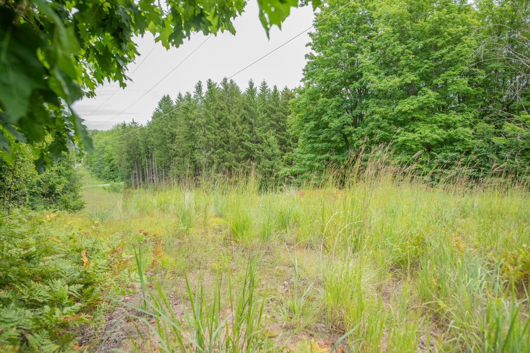 00 Hansel Strause E Custer Township MI 49615