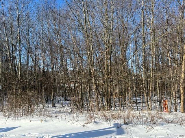 Lot 21 Forest Gate Grand Blanc Charter Township MI 48439