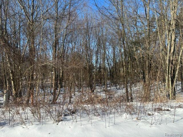Lot 21 Forest Gate Grand Blanc Charter Township MI 48439