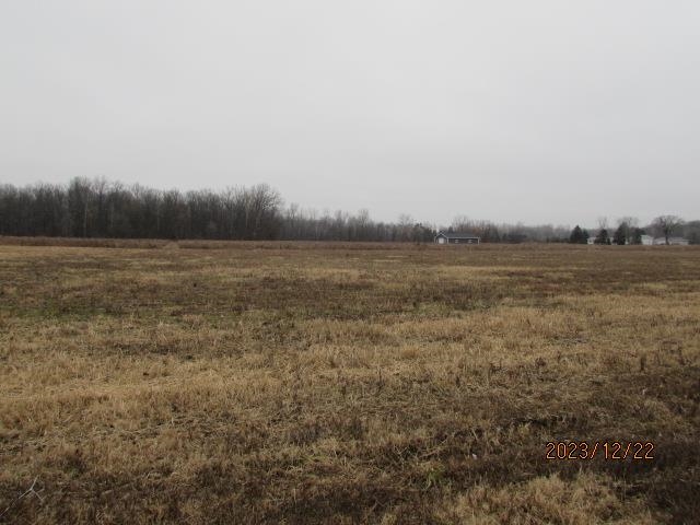 Tbd E Pickard Road Chippewa Township MI 48858