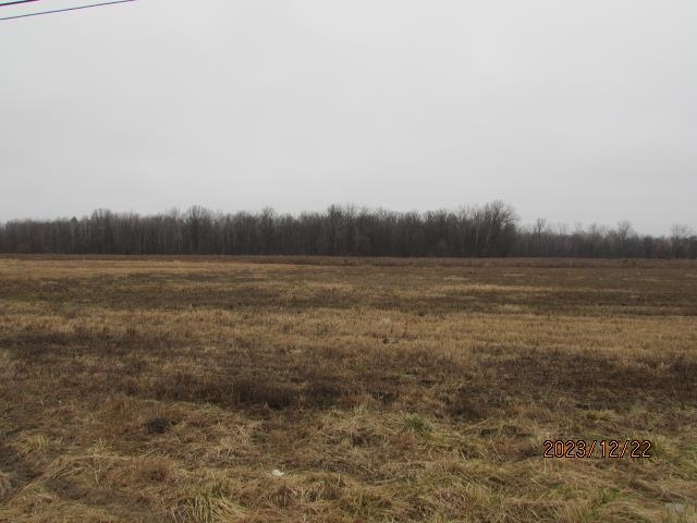 Tbd E Pickard Road Chippewa Township MI 48858