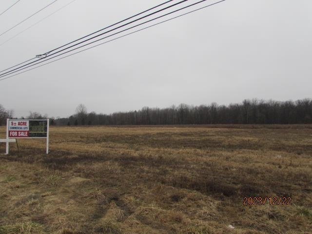 Tbd E Pickard Road Chippewa Township MI 48858