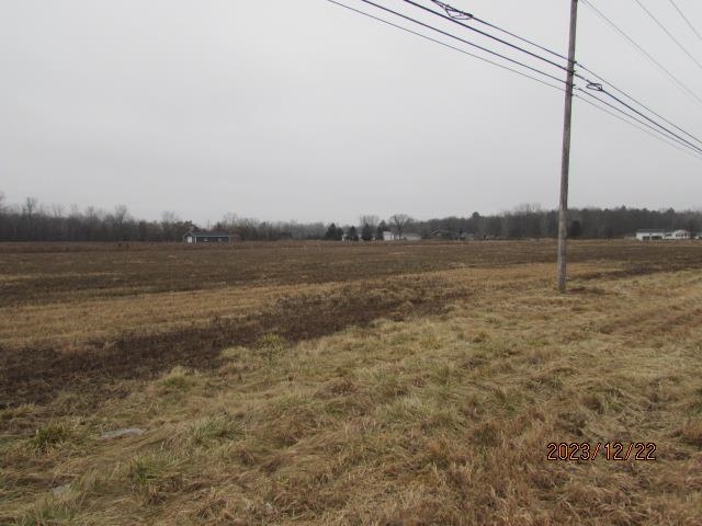 Tbd E Pickard Road Chippewa Township MI 48858