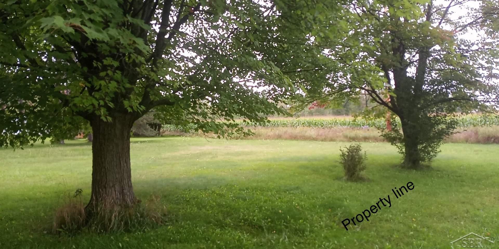 0 Simons Street Coleman City MI 48618
