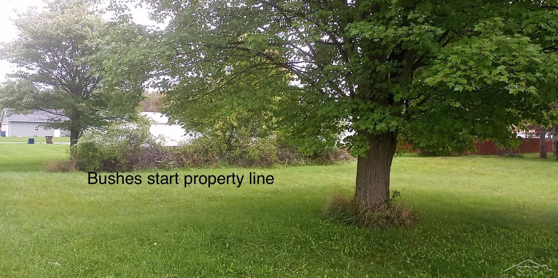 0 Simons Street Coleman City MI 48618